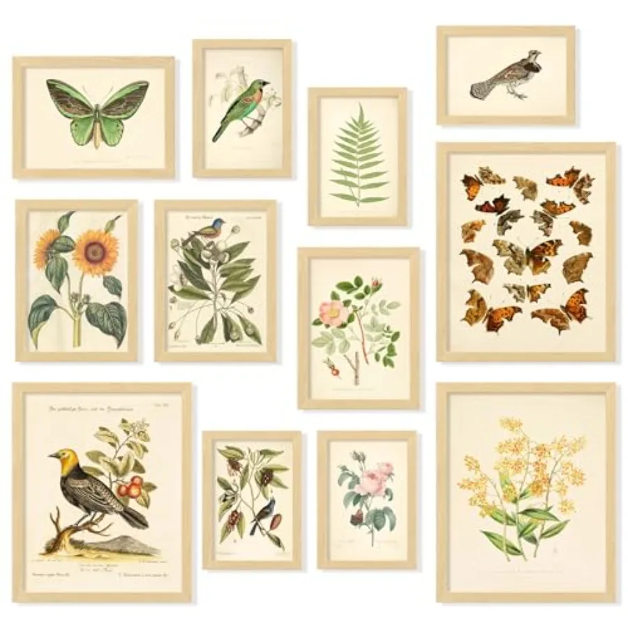 Art Print Framed - Vintage botanical prints wall art for