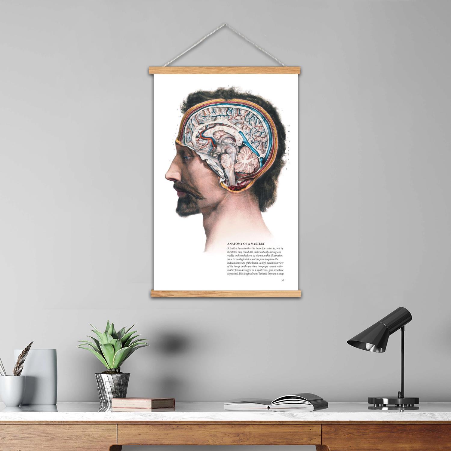 brain Framed Wall Painting Can - Art Print Framed recensie en prijs