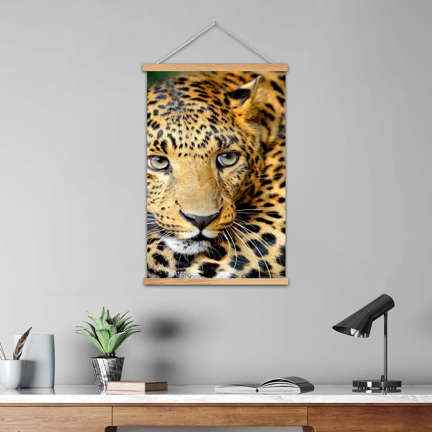 leopard print Framed Wall Pain - Art Print Framed recensie en prijs