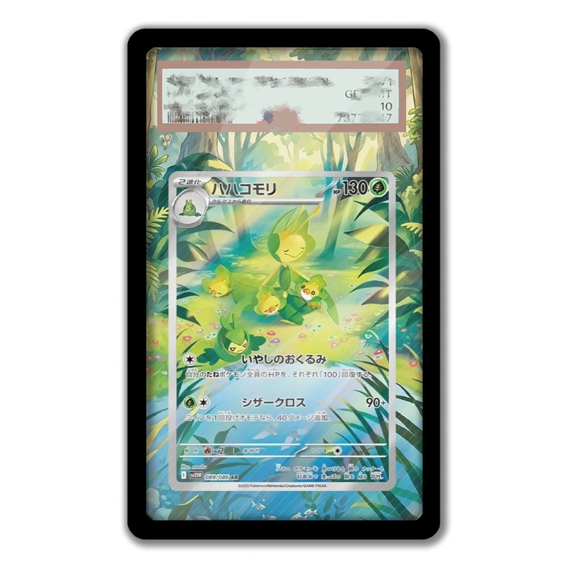 Art Display for Pokemon Leavan - Anime Merchandise For Girls recensie en prijs