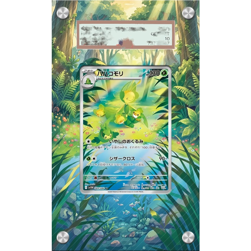 Art Display for Pokemon Leavan - Anime Merchandise For Girls recensie en prijs
