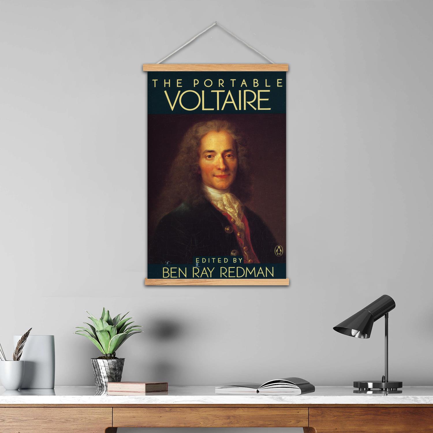 Voltaire Framed Wall Painting  - Art Print Framed recensie en prijs