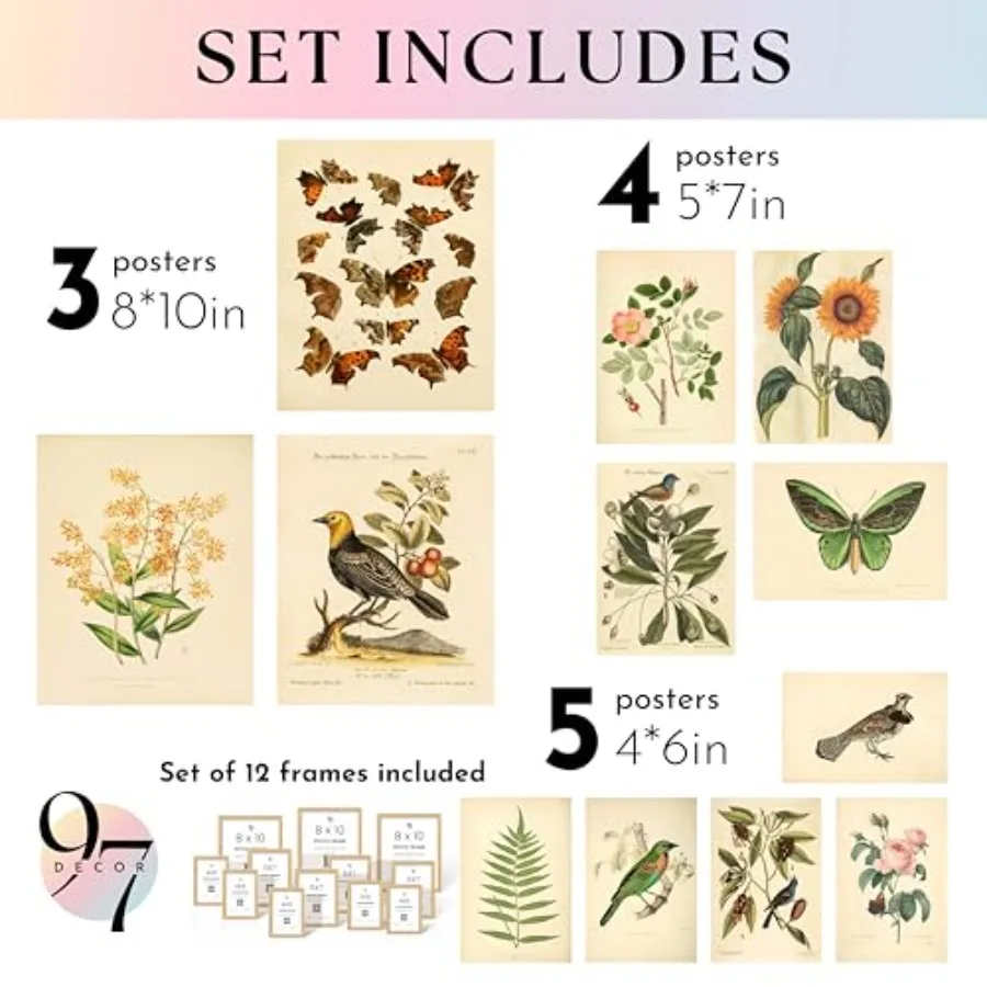 Vintage botanical prints wall  - Art Print Framed recensie en prijs