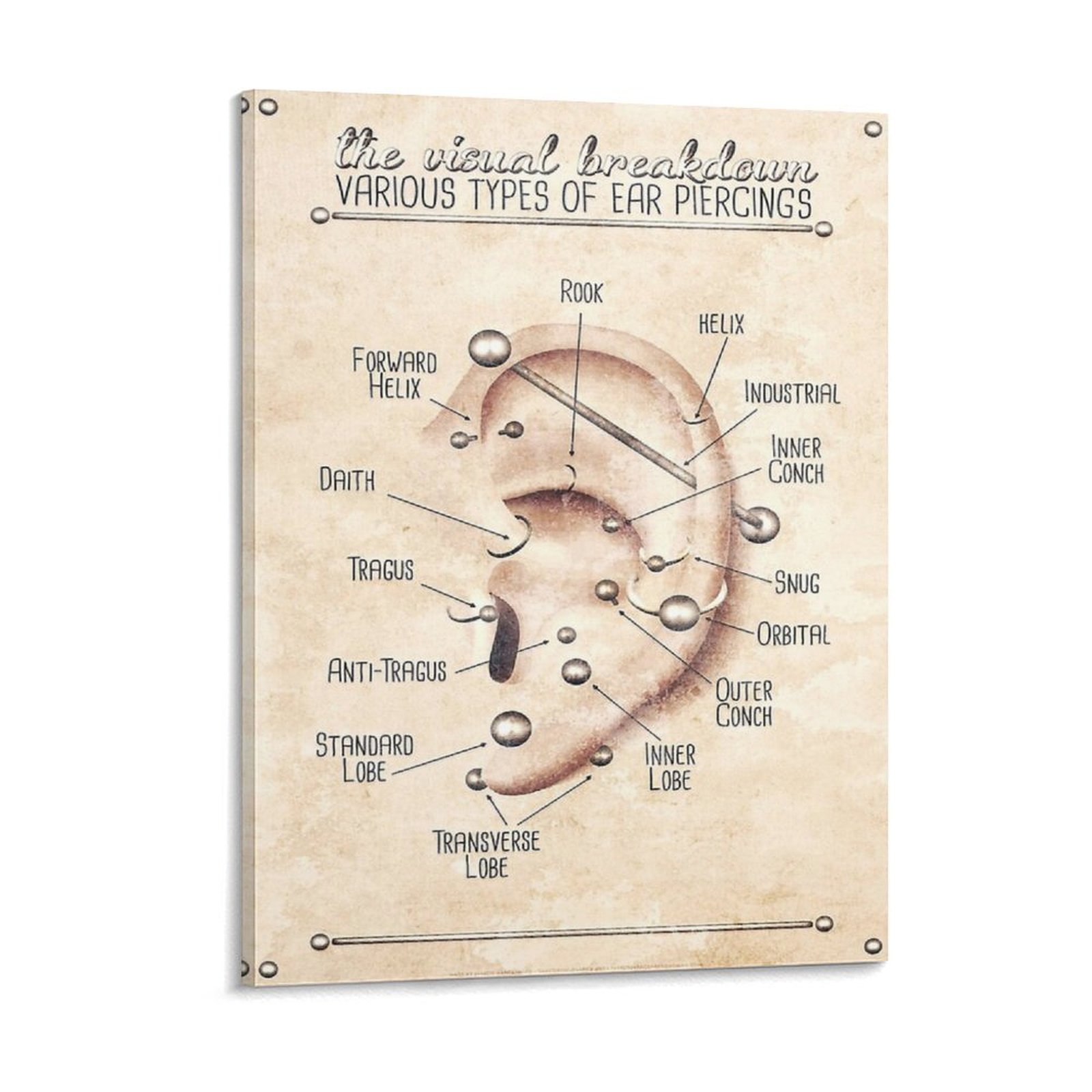 Ear Piercing Infographic Chart - Art Print Framed recensie en prijs