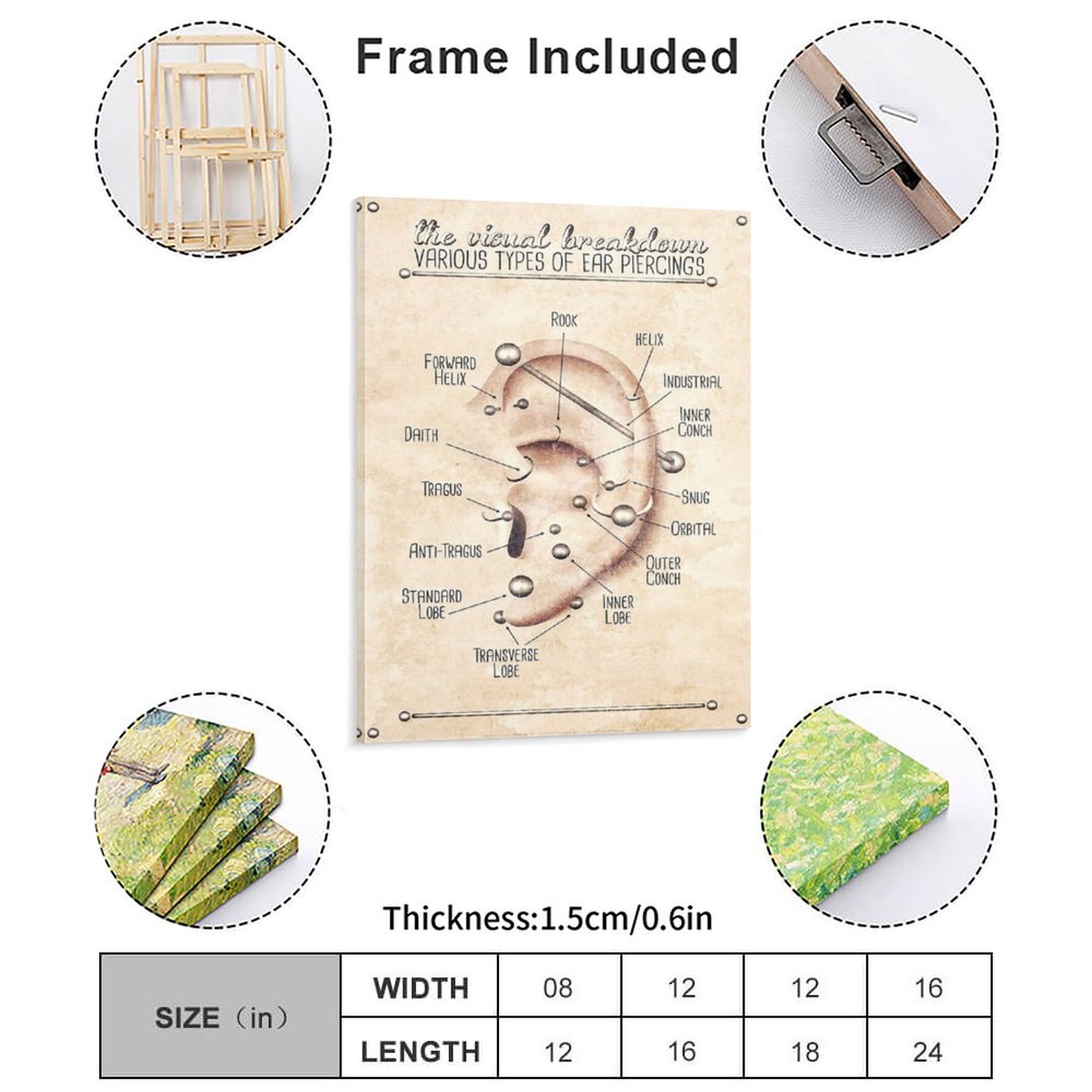 Ear Piercing Infographic Chart - Art Print Framed recensie en prijs