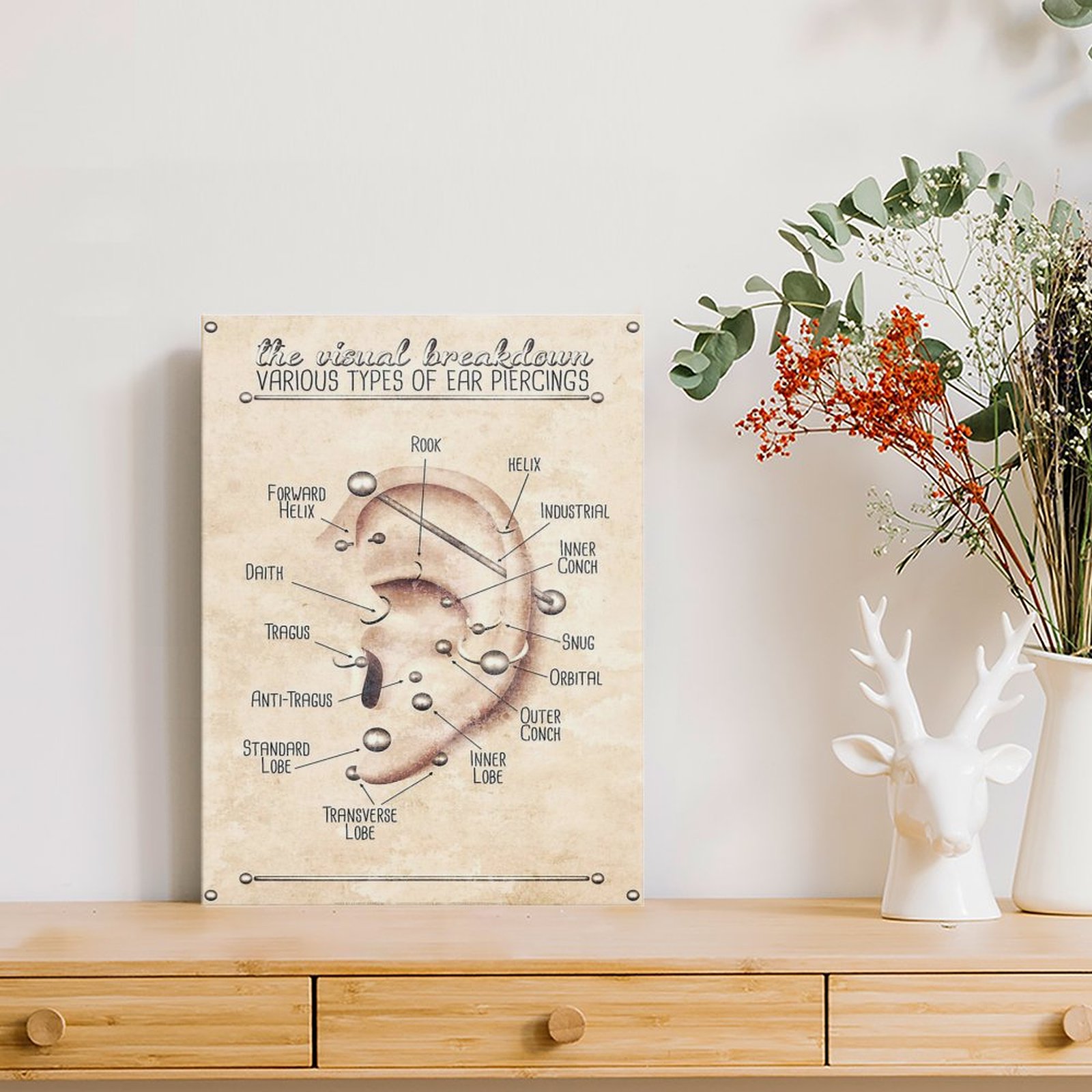 Ear Piercing Infographic Chart - Art Print Framed recensie en prijs