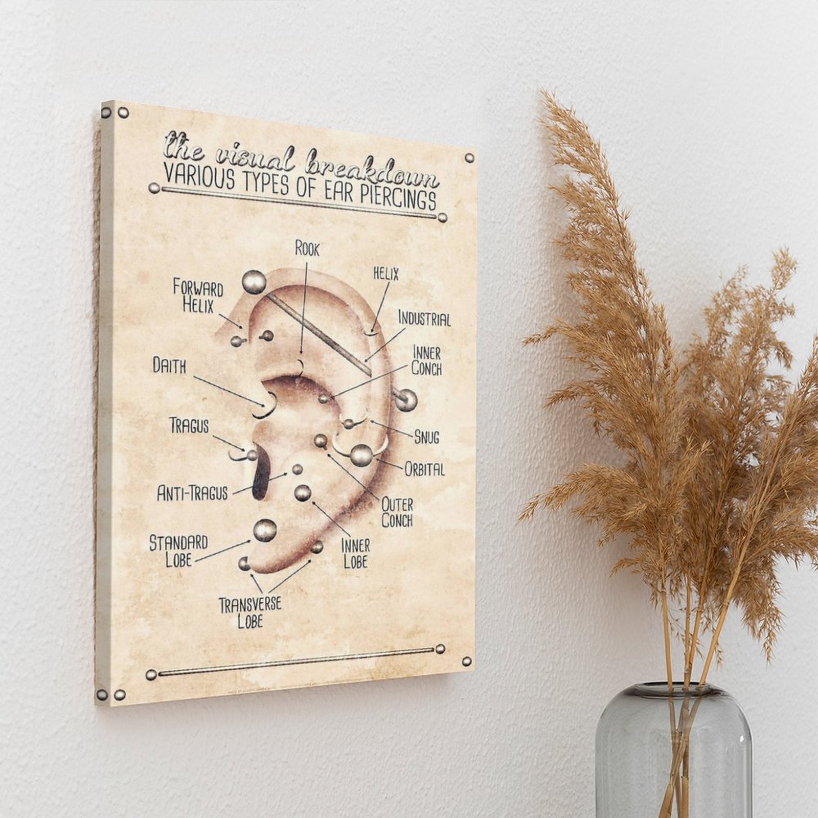 Ear Piercing Infographic Chart - Art Print Framed recensie en prijs